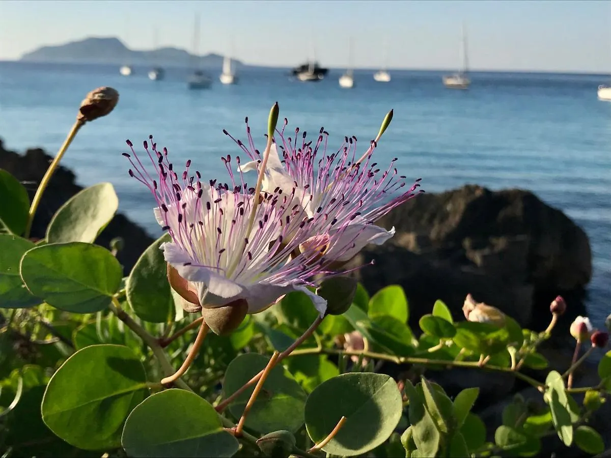 Zaffiro Lavico Rooms Etna Nature Sea Acireale